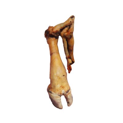 Cow Leg Medium