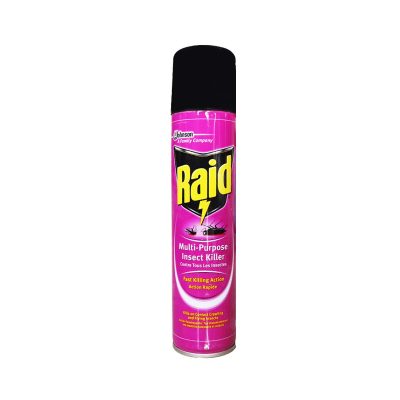 Rain Multi Purpose Insect Killer 300ml