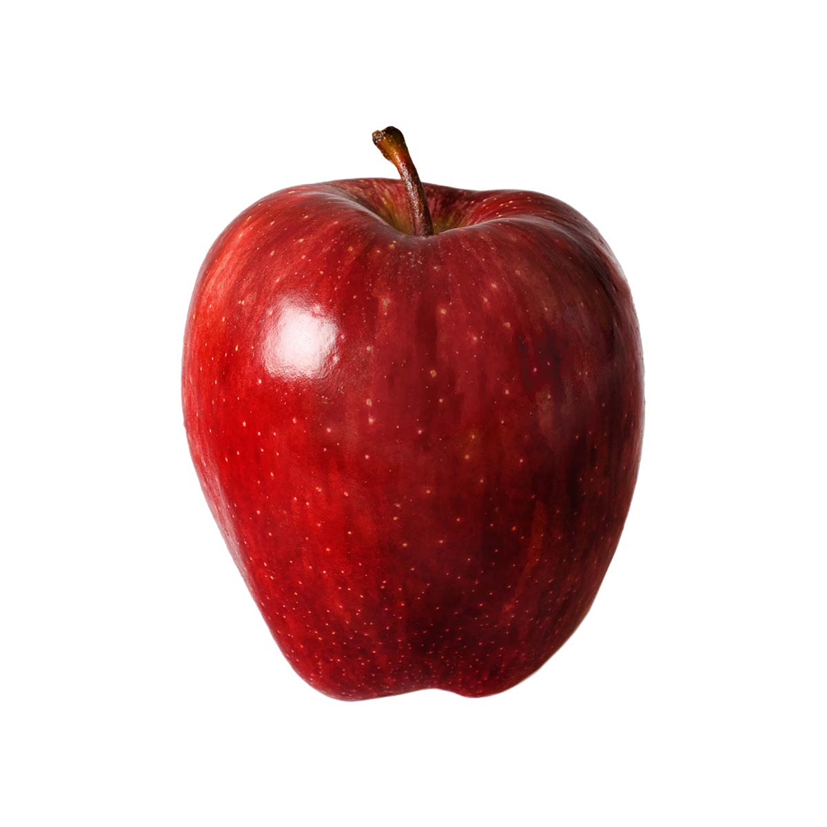 Red Apple Medium Size