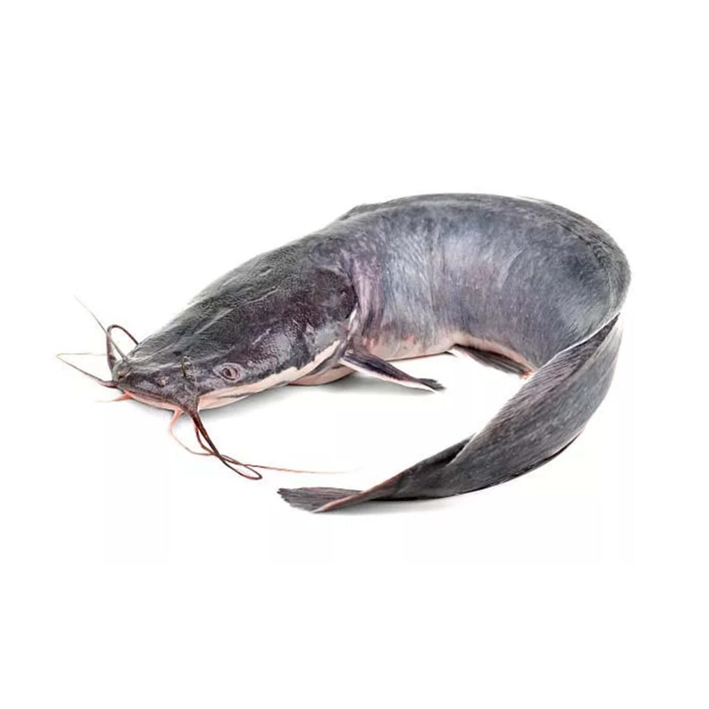 Cat Fish Frozen 1kg