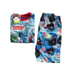 Cuddle Me Thomas Friends Kids Boys Long Sleeve Pyjamas 4 Years