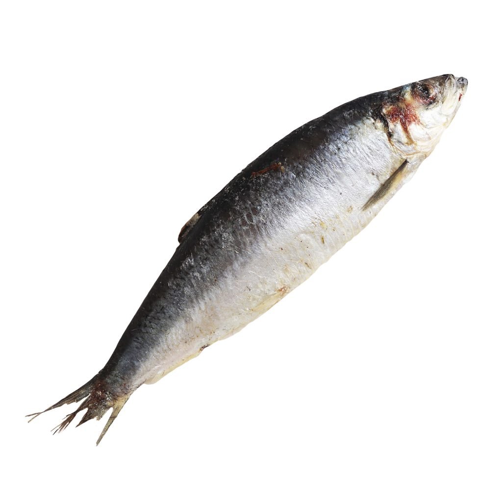 Shawa Frozen Fish 1kg