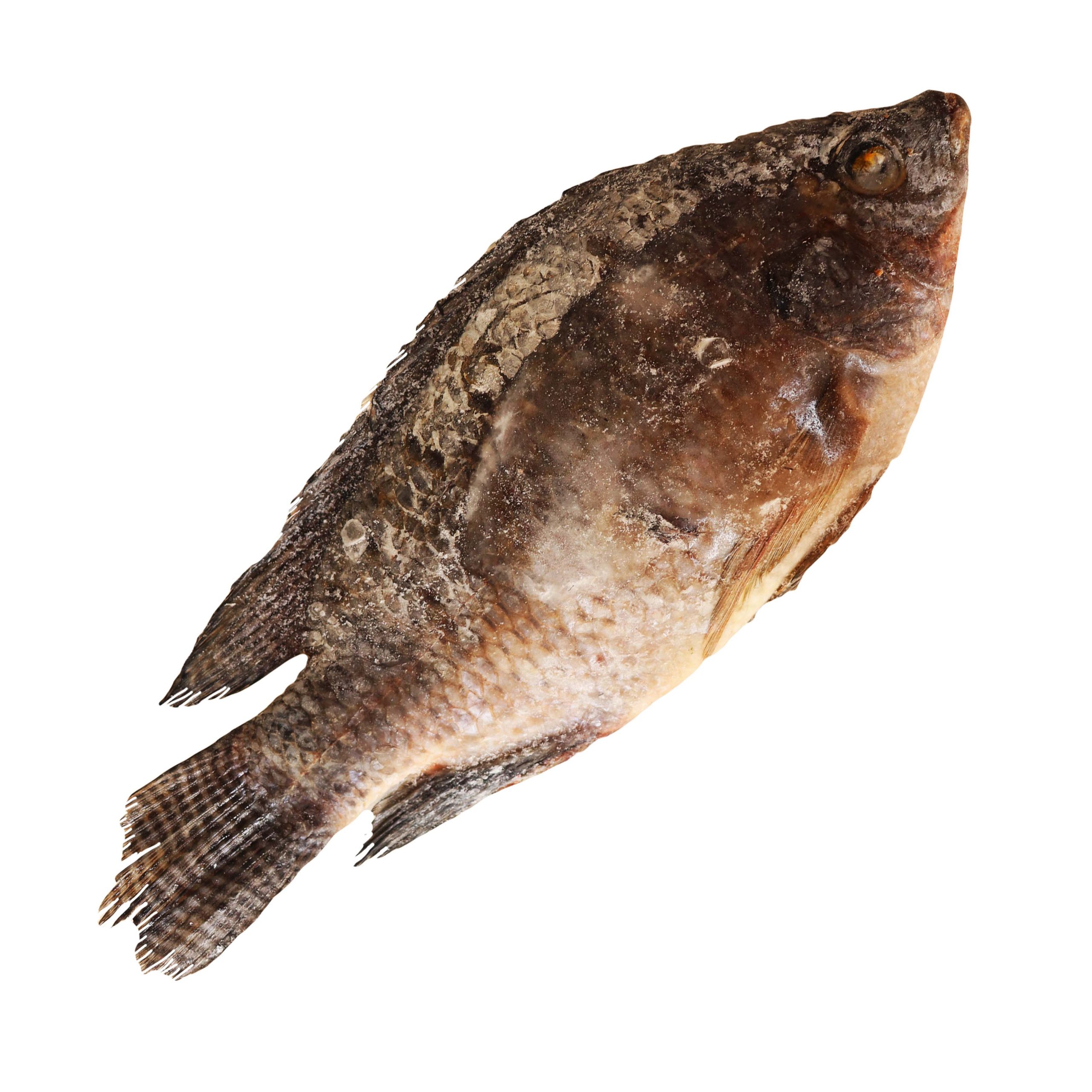 Tilapia Frozen Fish 1kg