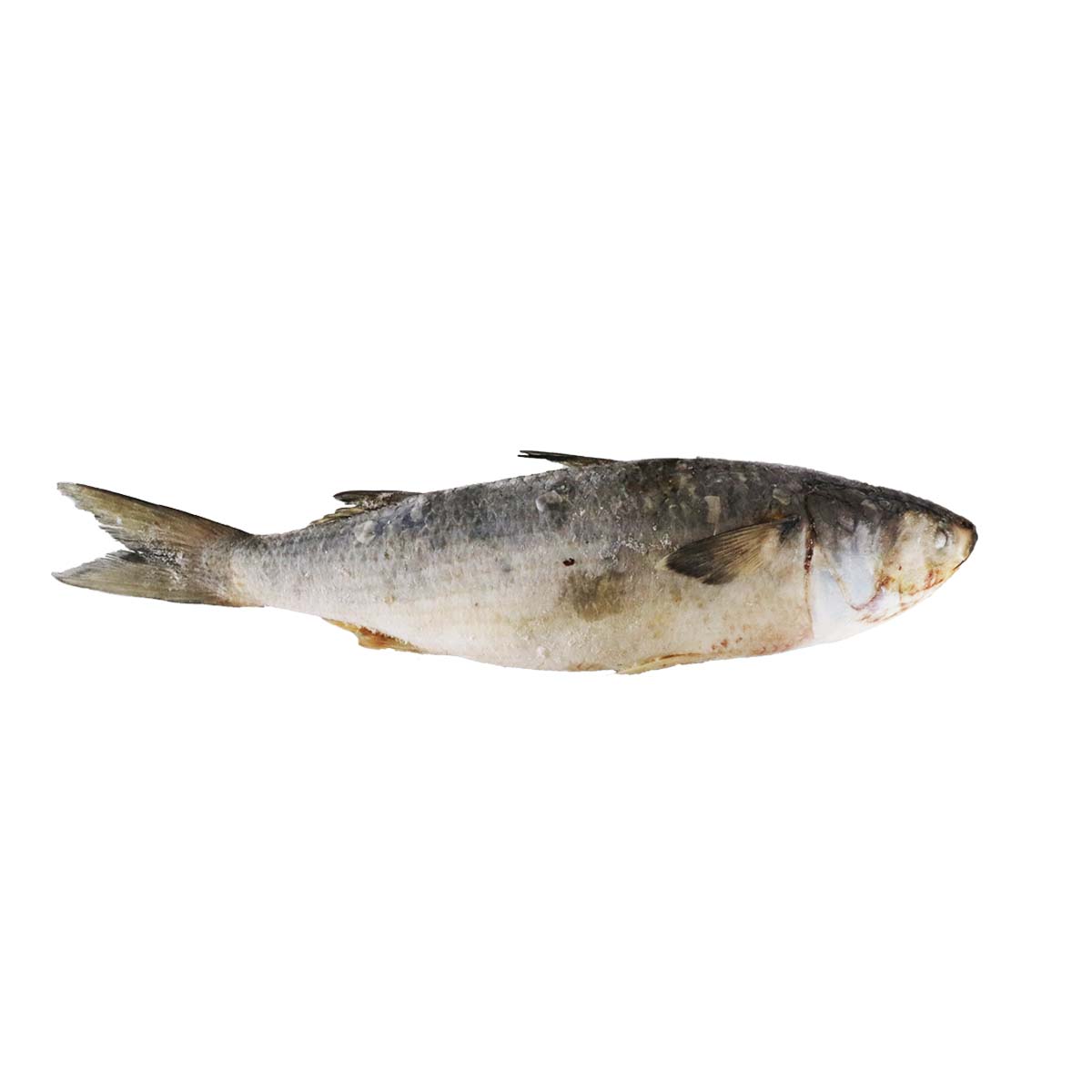 Mullet Descaled Frozen 1kg