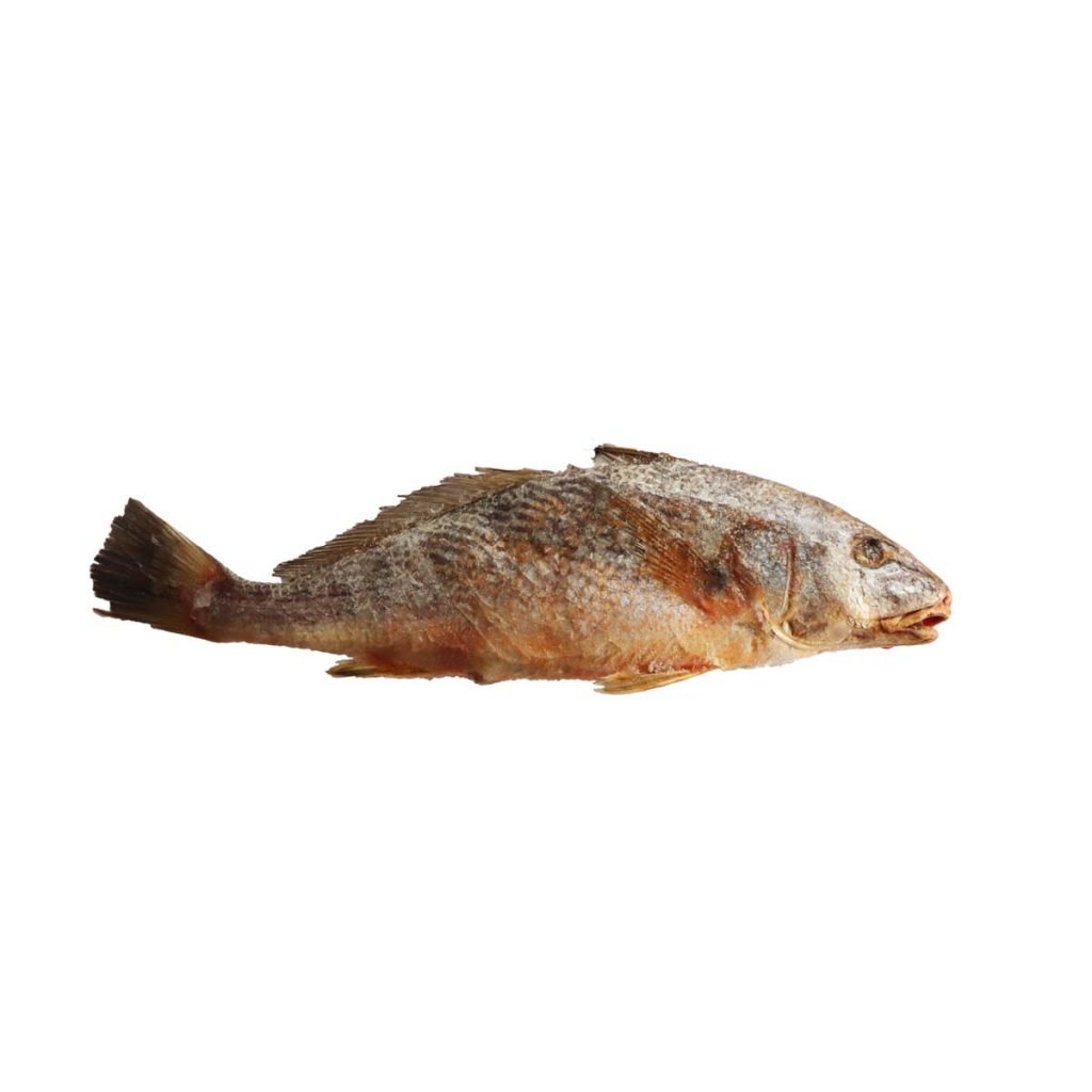 Croaker Frozen Fish 1.5kg