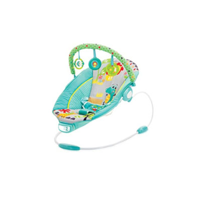 Mastela Comfort Baby Bouncer