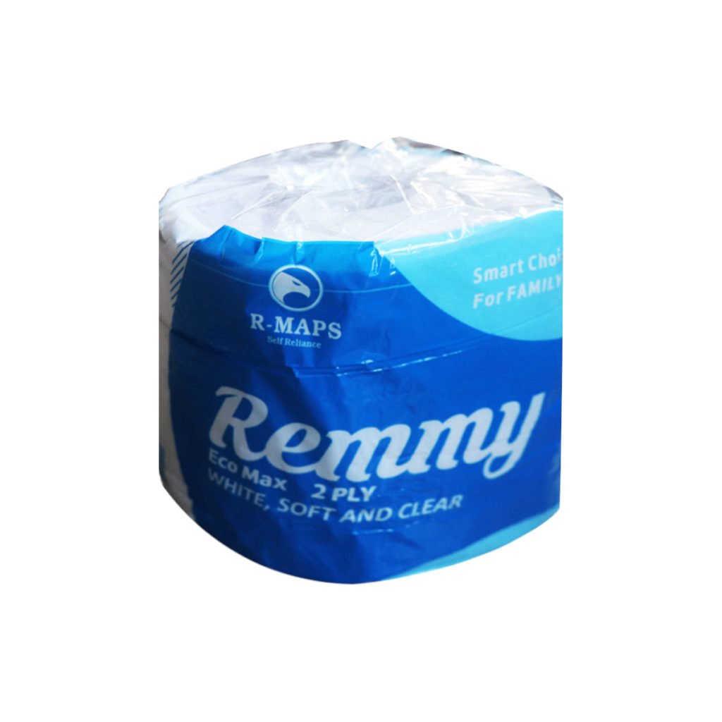 Remmy Eco Max 2 Ply Tissue