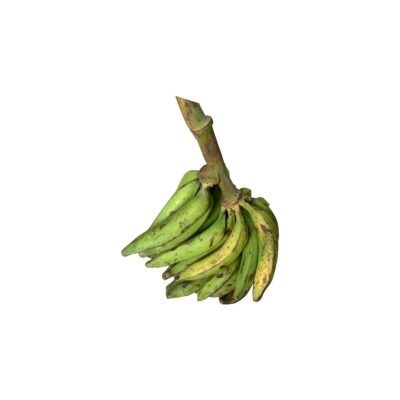 Fresh Plantain Size 1